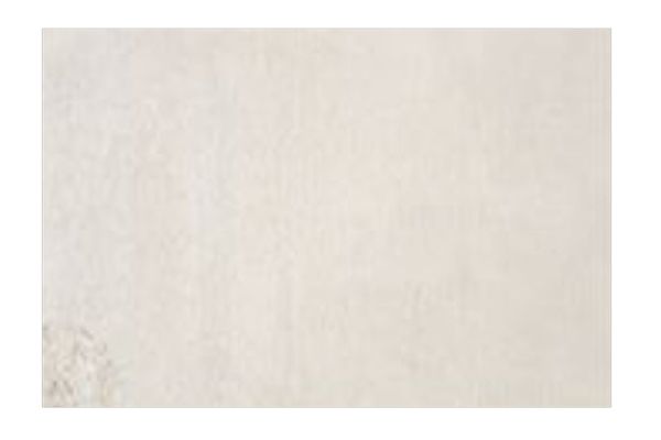 Whistler Ivory 7.6x9.6 Area Rug