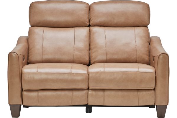 Damon Brown Leather Dual Power Reclining Loveseat