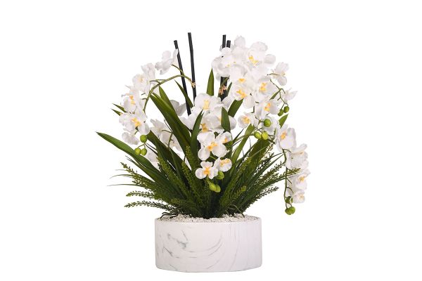  Cream Vanda Orchids with Heather Fern in Large Cora Bowl
