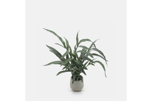 Artificial Eucalyptus In Pot