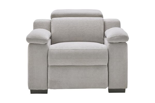 Lounge Dual Power Recliner